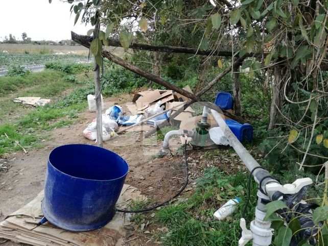 Aseguran que los campos entrerrianos son los que más glifosato acumulan a nivel mundial