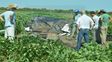busqueda de los gill: encontraron mas huesos en la excavacion del pozo de agua busqueda de los gill: encontraron mas huesos en la excavacion del pozo de agua