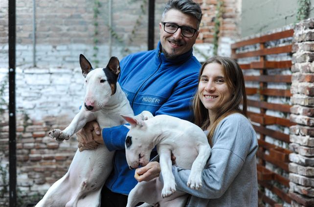 Día del Animal: cuánto cuesta mantener una mascota en Rosario