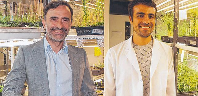 Profesionales. Jorge Casal y Germán Murcia son los autores del estudio.