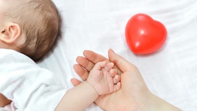 El Gobierno de Javier Milei desarmó el Programa Nacional de Cardiopatías Congénitas y despidió a médicos hiperespecializados. Hay 4.000 bebés con esa afección&nbsp;