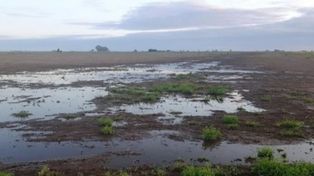 La BCR informó que en 2025 llovió un 20% más que el año anterior