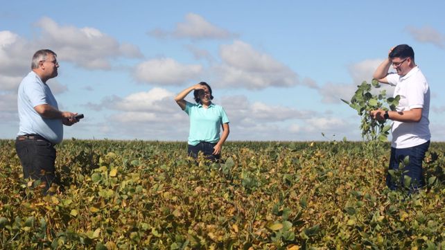Una biosolución le devolvió hectáreas donde antes no crecía nada