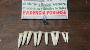 Investigan si El Sabalero era protegido por un gendarme vinculado a una megacausa