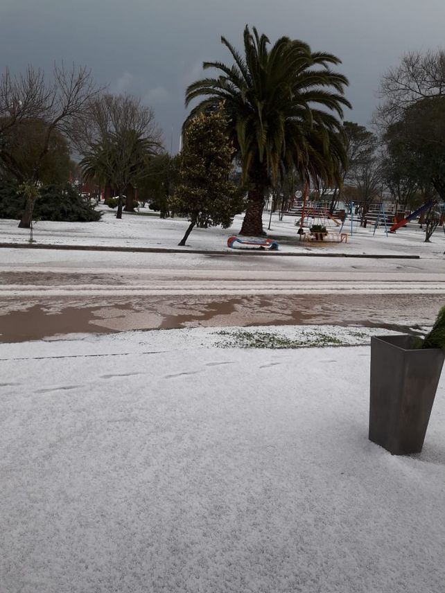 Tabossi se cubrió de un manto blanco
