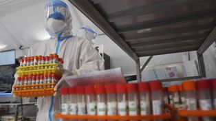 Hubo 733 muertes por coronavirus en 24 horas en Argentina, la segunda cifra más alta de la pandemia