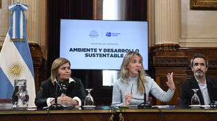 De una Argentina en llamas a una Argentina sostenible