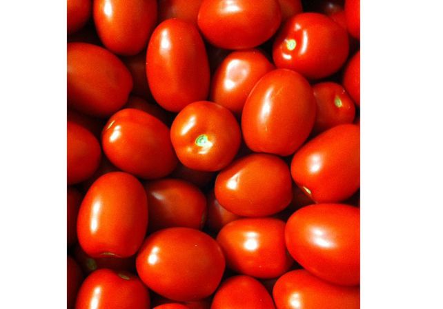 Tomate: Al productor le pagan el kilogramo de tomates peritas 7