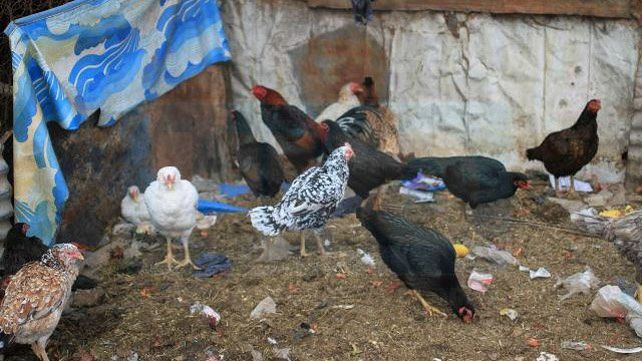 Barrio Antártida Argentina: Al borde de la barranca y cercados por la basura