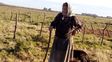 hallaron sin vida a la anciana desaparecida en gualeguaychu hallaron sin vida a la anciana desaparecida en gualeguaychu