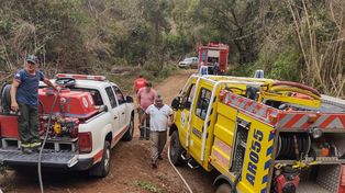 La delegación de bomberos santafesinos combate el fuego en sectores de selva paranaense y explotaciones forestales de pinos y eucaliptus. (Foto: misionescuatro.com)