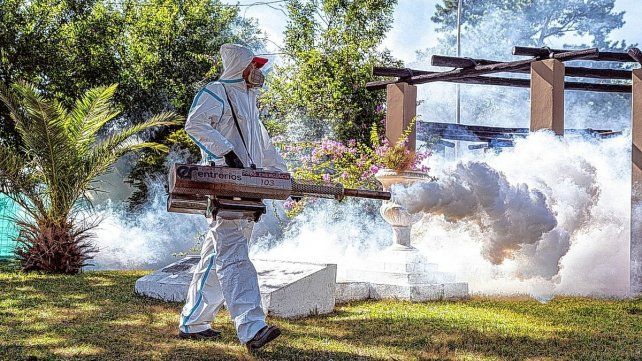 El Ministerio de Salud de la Nación confirmó 129 muertes por dengue y más de 180 mil casos desde agosto a marzo. Es el brote más grande registrado.
