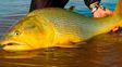 Turismo de pesca en Entre Ríos: un producto que logra generar movimiento todo el año