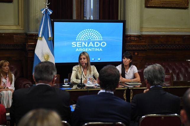 Sacnun: Esta ley es una mera declamación si no se defiende la industria nacional