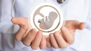 Ginecólogos y obstetras