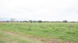 El municipio de Chajarí planea vender casi 200 lotes de tierra para viviendas