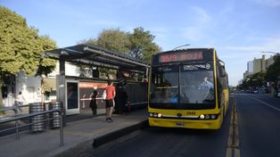 Avanza en el Concejo el proyecto que pide revisar los carriles exclusivos