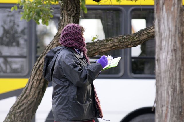 frio clima tiempo celular