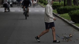 El clima en Rosario: un domingo con cielo despejado y con algo de sol