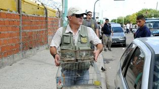 Antes que los vendieran secuestran más de 300 animales silvestres en Pompeya