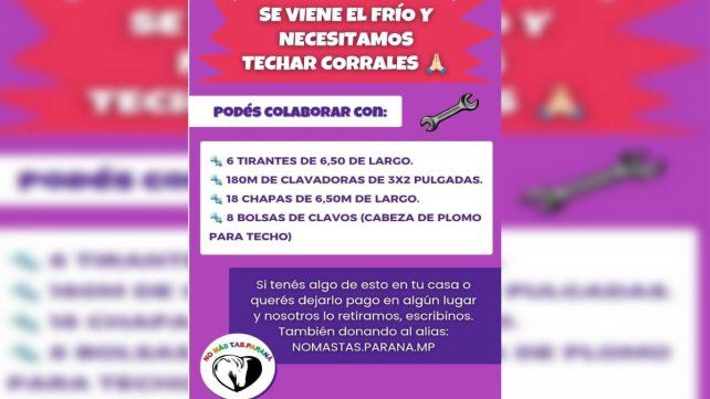 Proteccionistas de Paraná rescataron una yegua que era utilizada para tirar un carro. El animal apenas podía caminar por las heridas