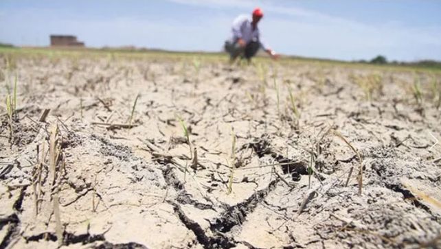 Las asociaciones rurales y los efectos de la sequía: Hay que programar acciones para 18 o 24 meses