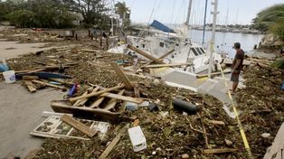 Miami respiró de alivio y recuperó el pulso tras el paso del huracán