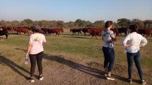El Inta Tostado trabaja junto a productores ganaderos para implementar buenas prácticas de manejo del rodeo.
