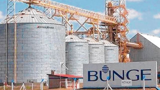 Bunge exportó el año pasado desde Argentina 6