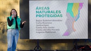 Presentan nuevas propuestas de protección ambiental para Santa Fe
