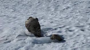 Encuentran cadáver momificado en una montaña de Mexico