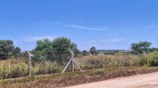 En un predio del Parque Industrial avanza un yuyal