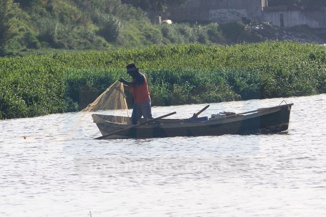 Hay pique. La bajante del río trajo a la zona mucho recurso.