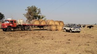 El gobierno provincial asiste a productores afectados por la sequía