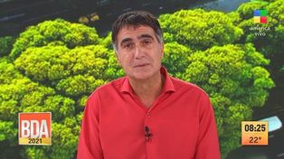 El maltrato debe ser desterrado 