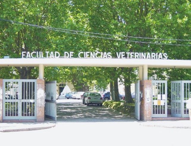 Día del Veterinario: a 136 años de la creación de la primera facultad del país