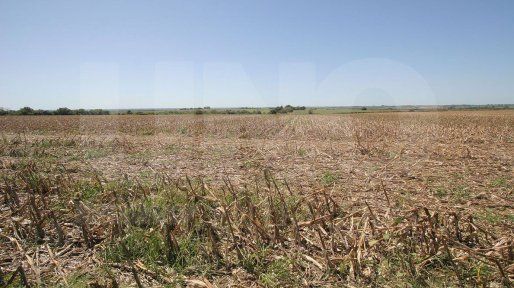 SMN: inicia una semana de cielos nublados y bajas temperaturas