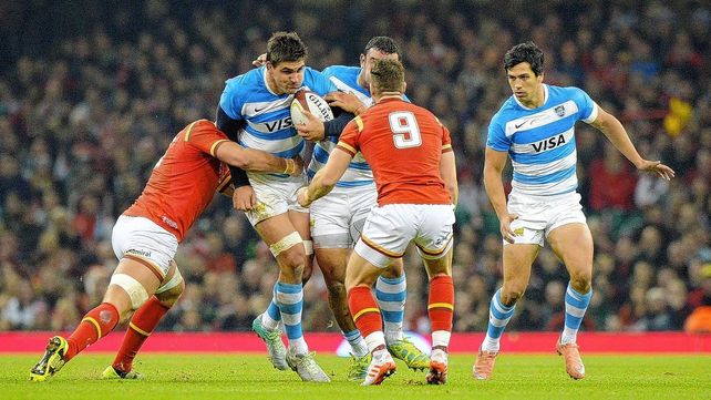 Los Pumas podrían visitar a Gales