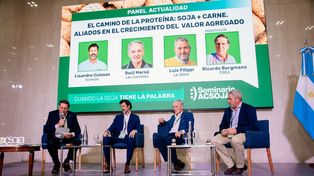 “El camino de la proteína: soja + carne. Aliados en el crecimiento del valor agregado” fue uno de los paneles destacados del seminario Acsoja 2025.