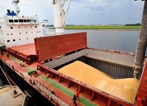 CAME: las exportaciones regionales crecieron en dólares