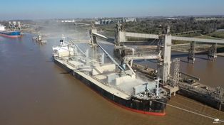 Agro exportaciones: primer trimestre récord