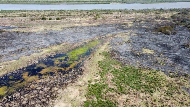 Incendios en las islas: controlan más del 90% de los focos y prevén un alivio hidrológico en el río Paraná
