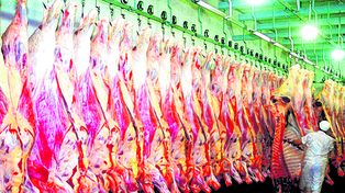 La carne que quiere el mundo: sostenible y con transparencia