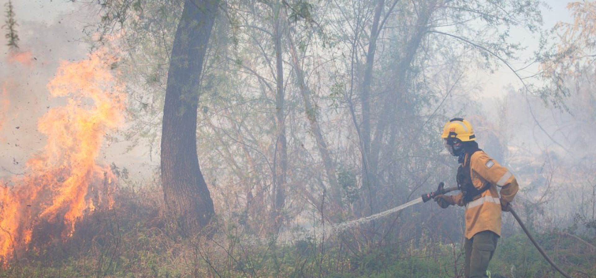 Fuego en las islas: Santa Fe aportó 28 brigadistas y Entre Ríos solo 5