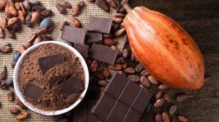 El uso de fertilizantes y la contaminación industrial, son algunos de los factores que contribuyen a la presencia de metales pesados en el cacao y el chocolate