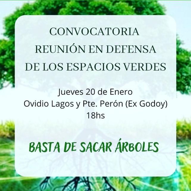 Vecinos se reúnen contra la tala de árboles centenarios en el parque ...