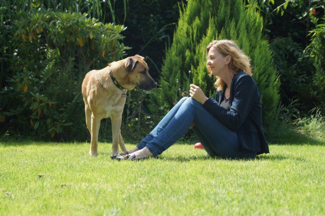 Adoptó a un perro que la esperó meses en la puerta del hotel donde se alojaba