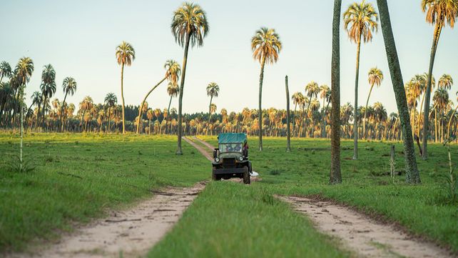 En diferentes ciudades registran baja ocupación