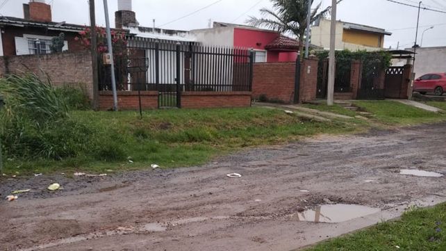 Piden fumigaciones en barrio Los Paraísos