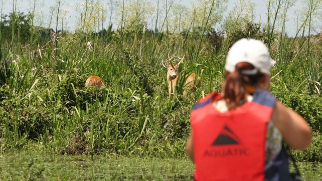 La tercera entrega del programa Previaje que incentiva el turismo local tendría definidas sus características.